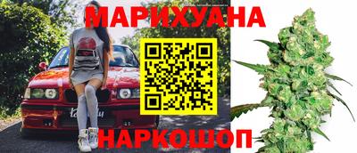 трава Майкоп