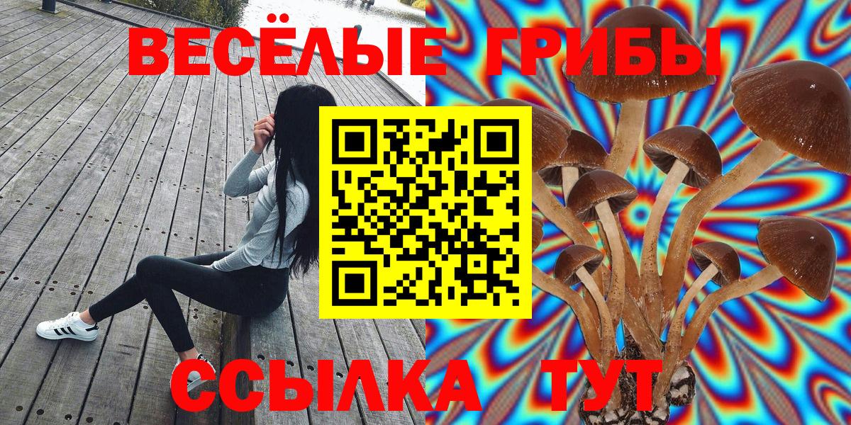 Псилоцибиновые грибы ЛСД  как найти   Киров  Вход с VPN 