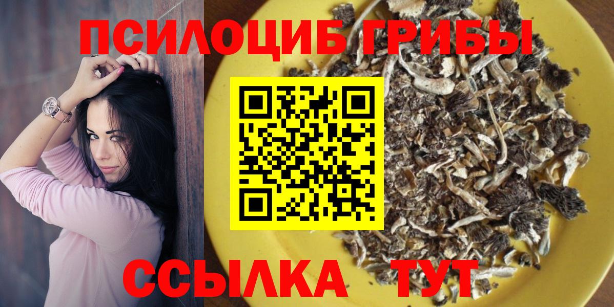Псилоцибиновые грибы Psilocybe Киров